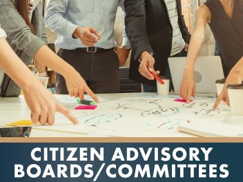Citizen Advisory Boards/Committees