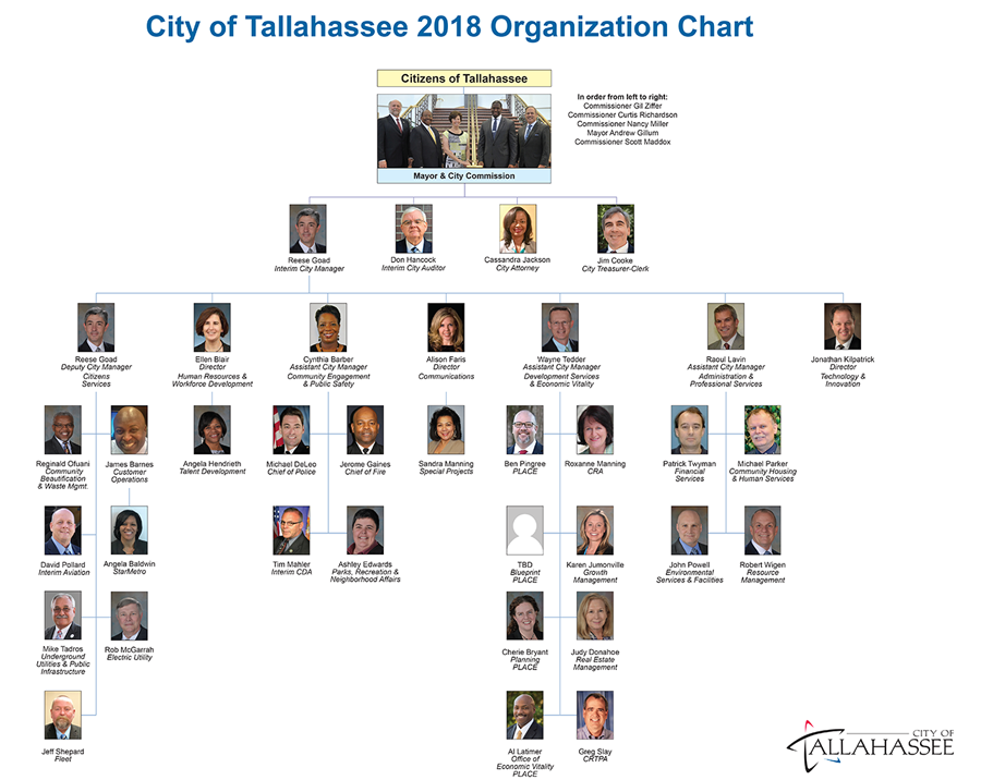 A chart depicting the City of Tallahassee's organizational structure in 2018